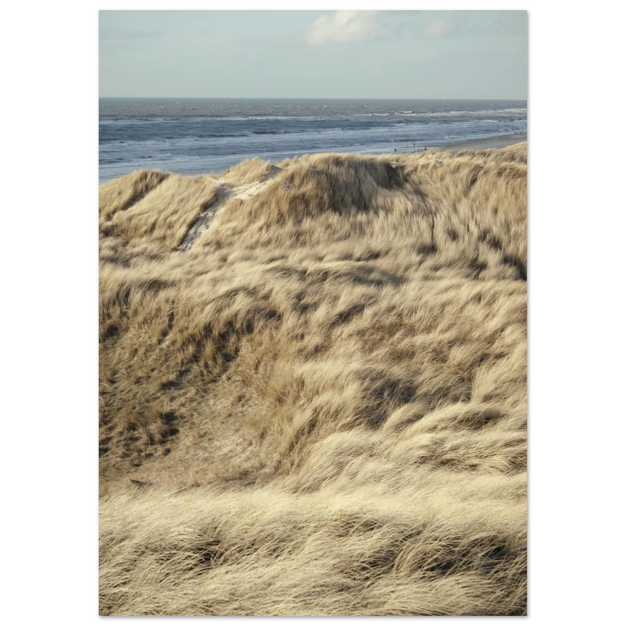 05168f60-541c-4dfd-b853-8e32532ddfef