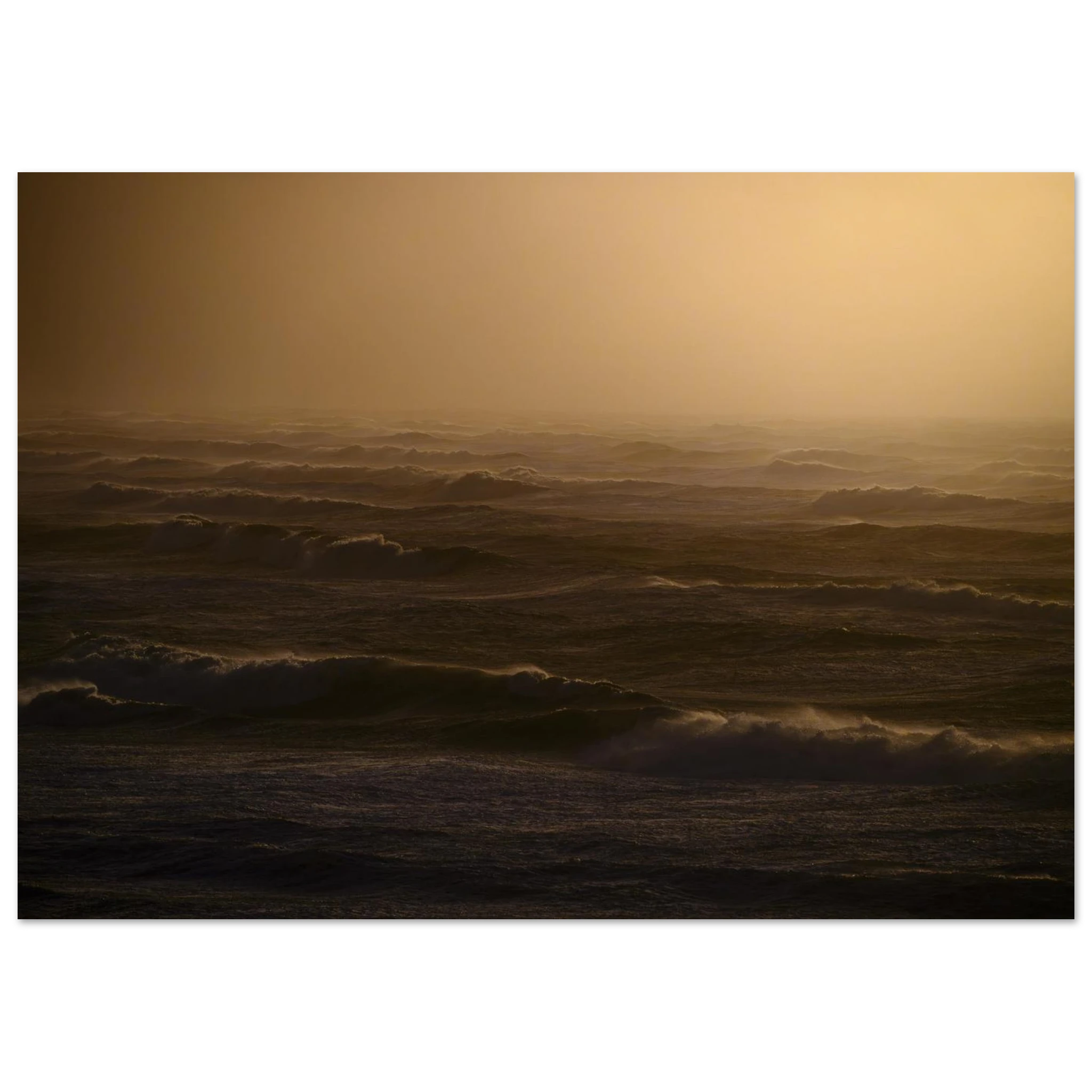 14666d29-0154-4131-b6fd-83c248d0f557
