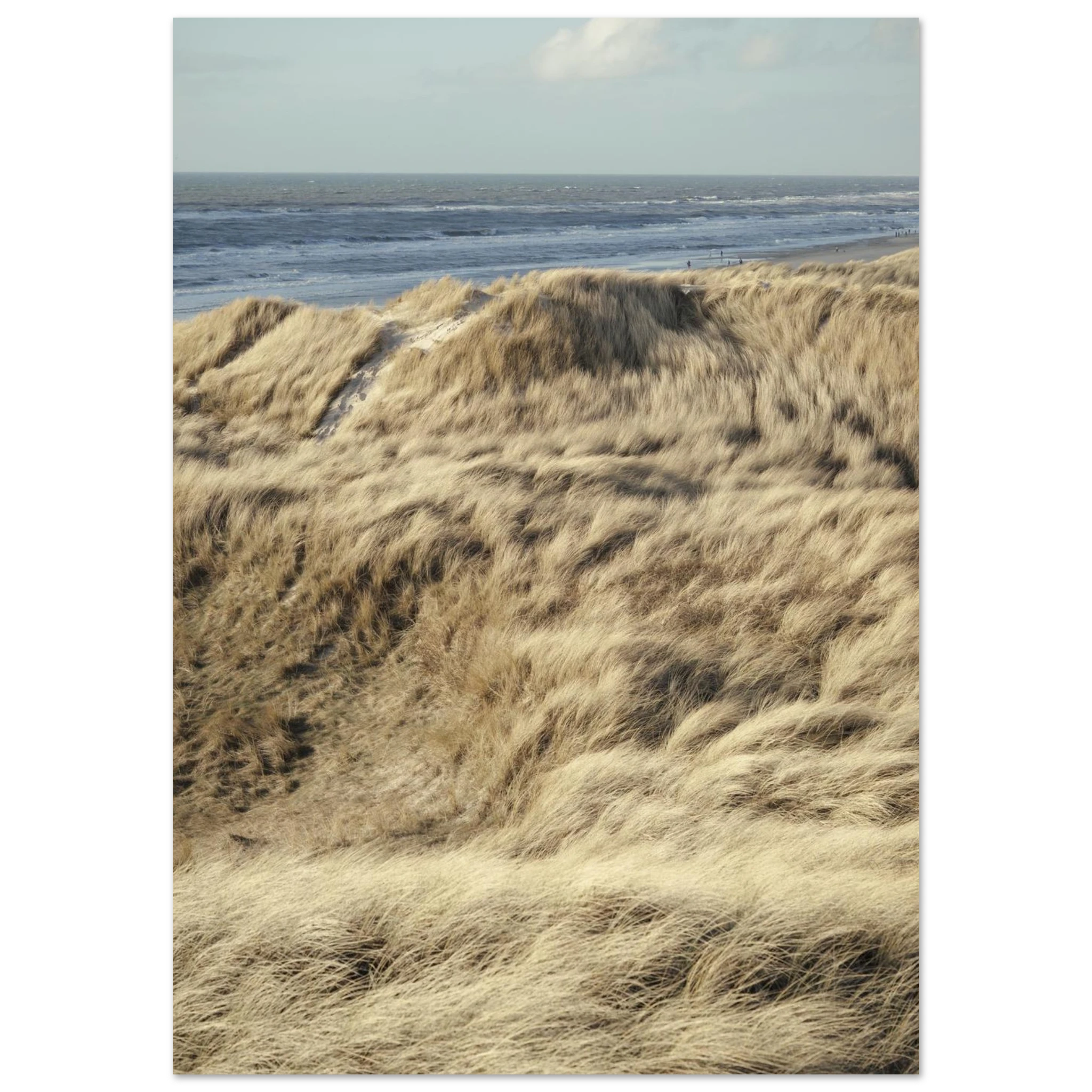 2bfa0ad5-22ff-48d9-8852-ee477a593d57